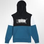 Puma Kids Boy Alpha Hoodie Sweaters