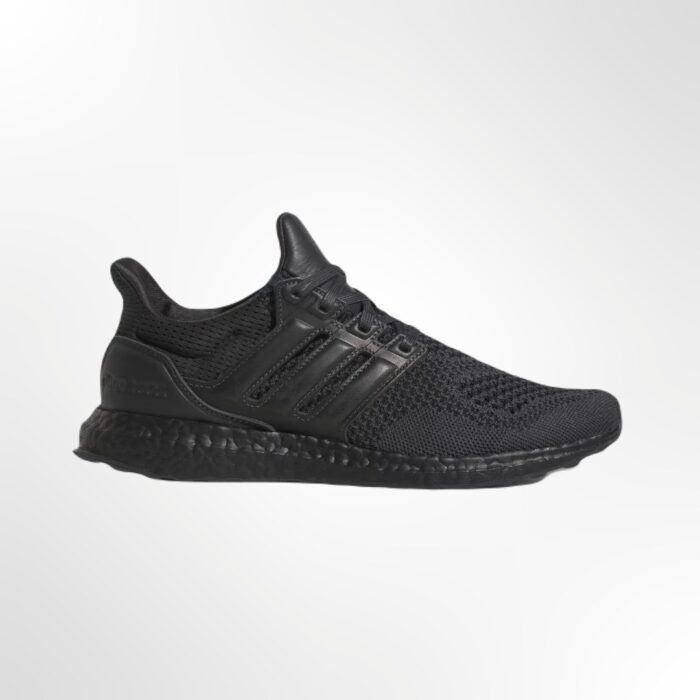 ULTRABOOST 1.0 DNA PP