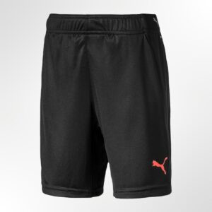 Puma Shorts Jr